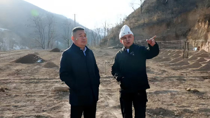 张伟的石头——一位黄土高原企业家的两千万与一个未凉的梦 张伟的石头——一位黄土高原企业家的两千万与一个未凉的梦